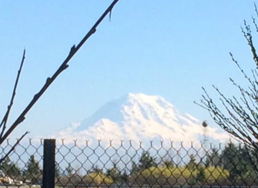 Mount Rainier