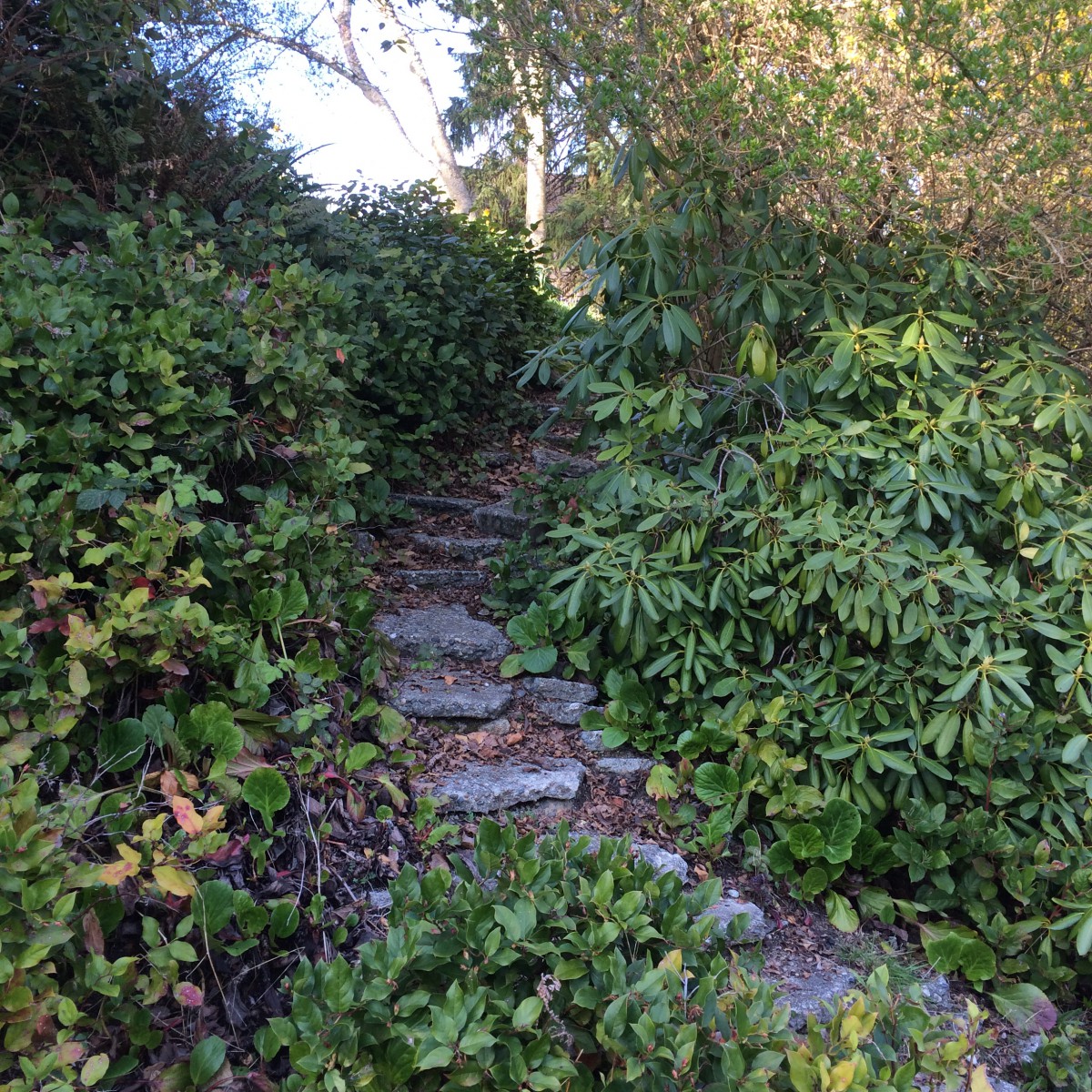 Three Things Thursday