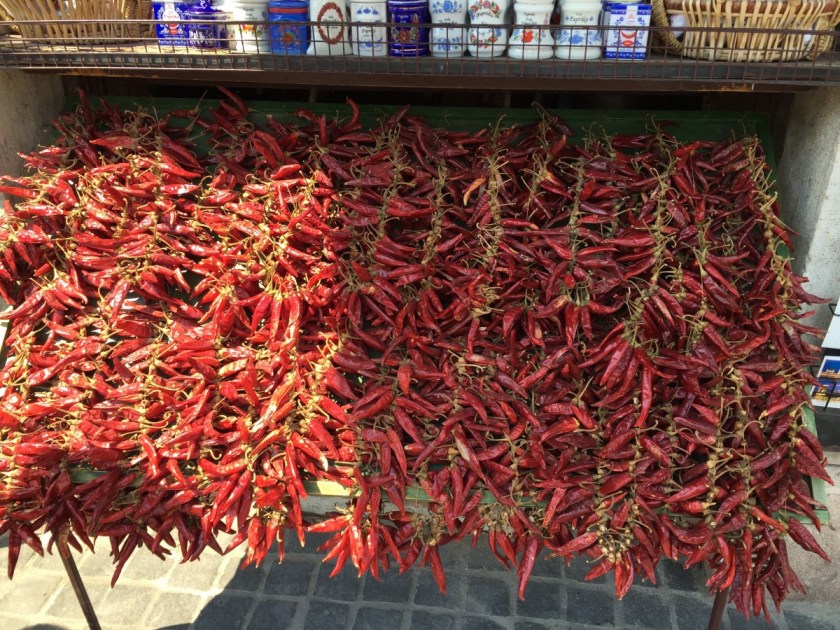 Peppers used to make paprika