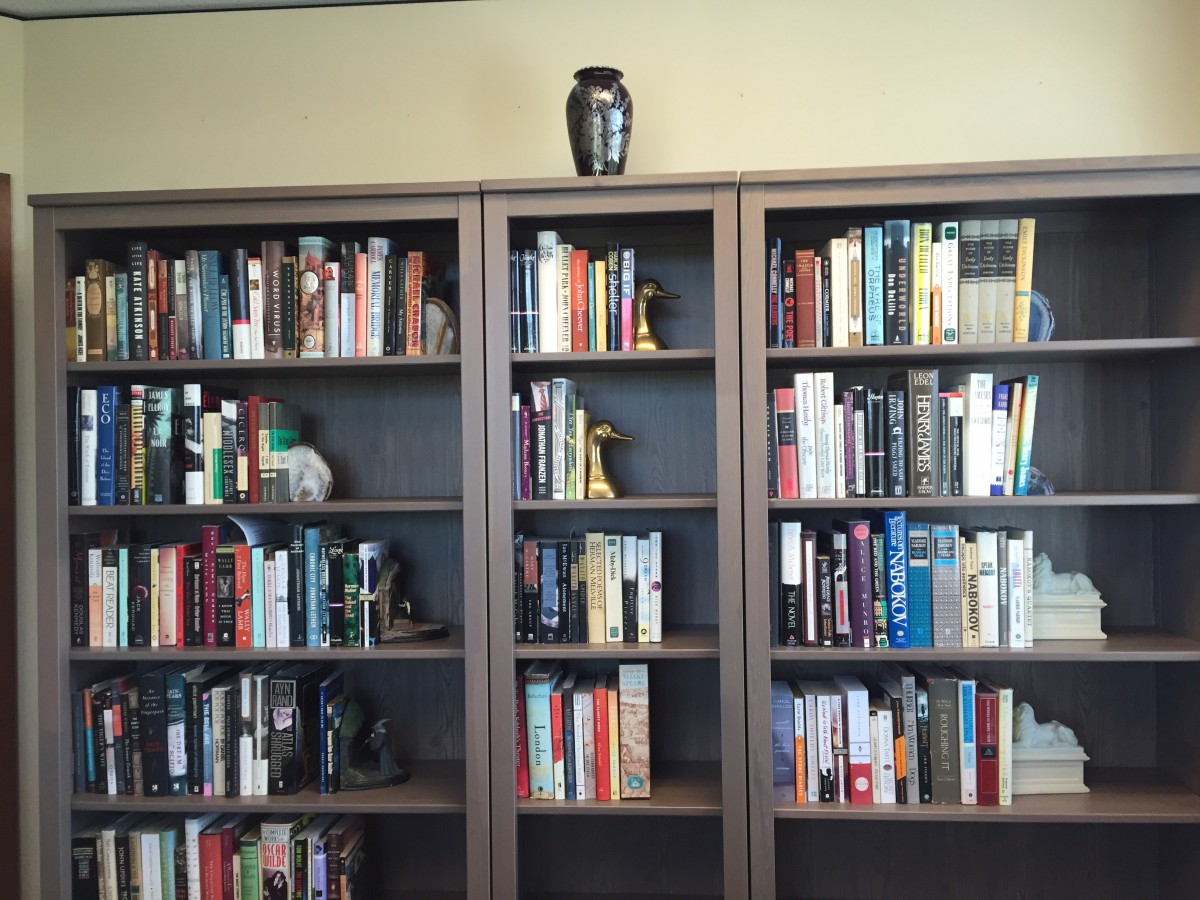 Bookshelves in My Office