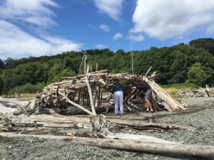 Log structure on beach
