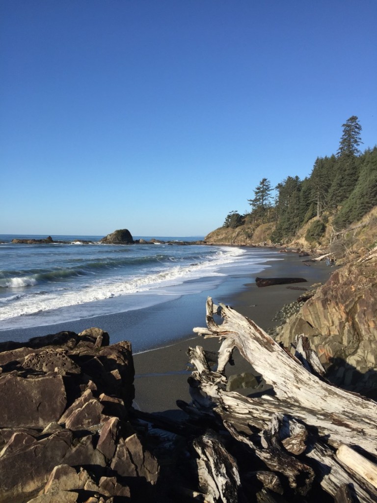 Beach 4 has few logs