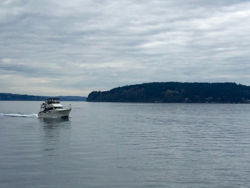 boat on Commencement Bay