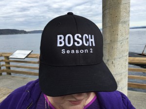 Bosch hat: front