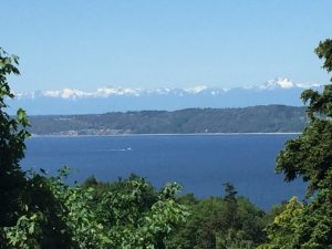 view after tree trimming