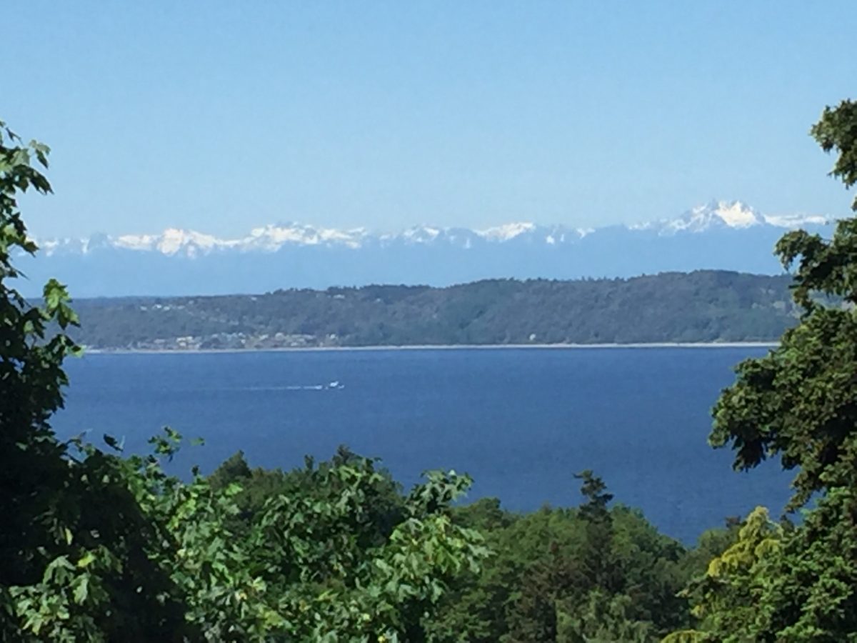 Three Things Thursday