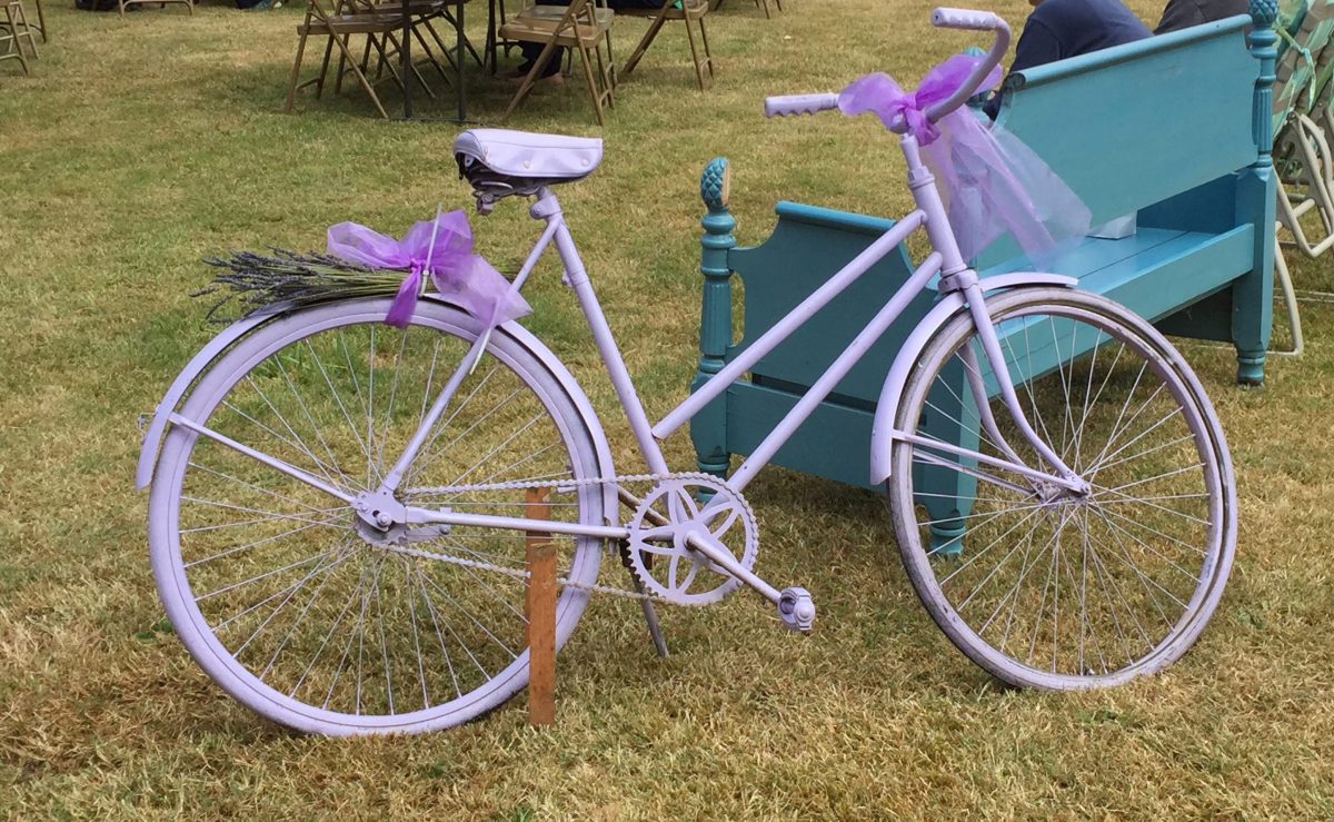 Three Things Thursday