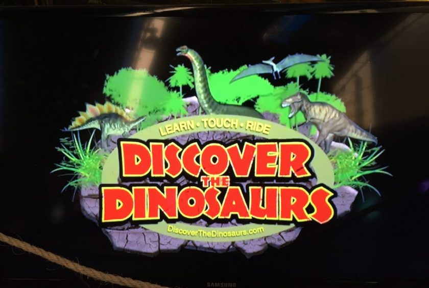 Discover the Dinosaurs