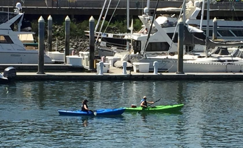 Kayaks in Seahawks team colors