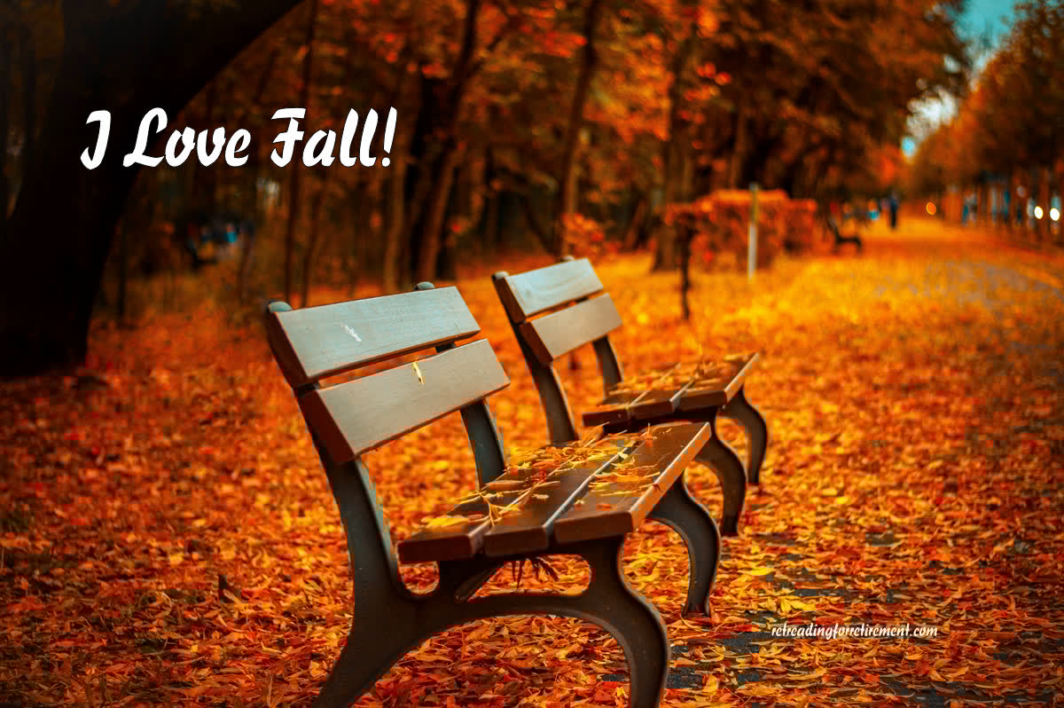 Autumn leaves: I love fall!