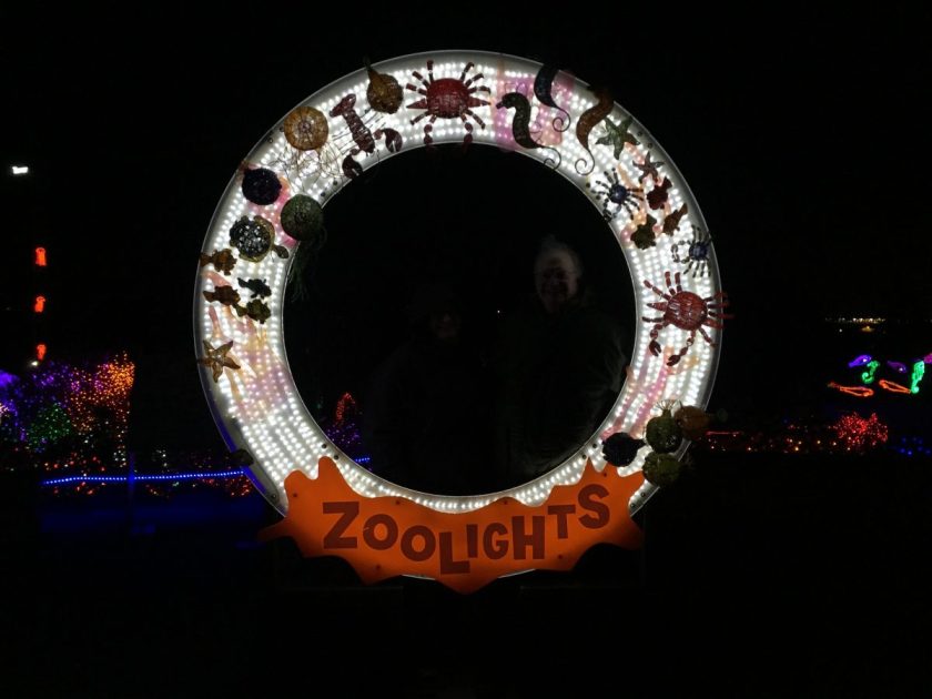 Zoolights 2016