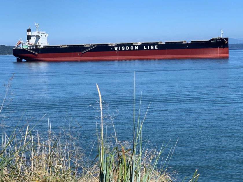 cargo ship: Wisdom Line