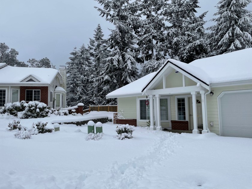 deep snow on lawn, houses, and trees